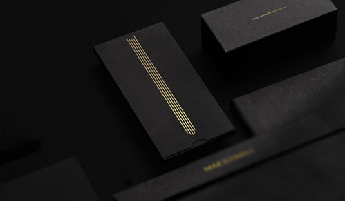 巴西商业咨询公司Maestrina的品牌设计与教育管理咨询服务